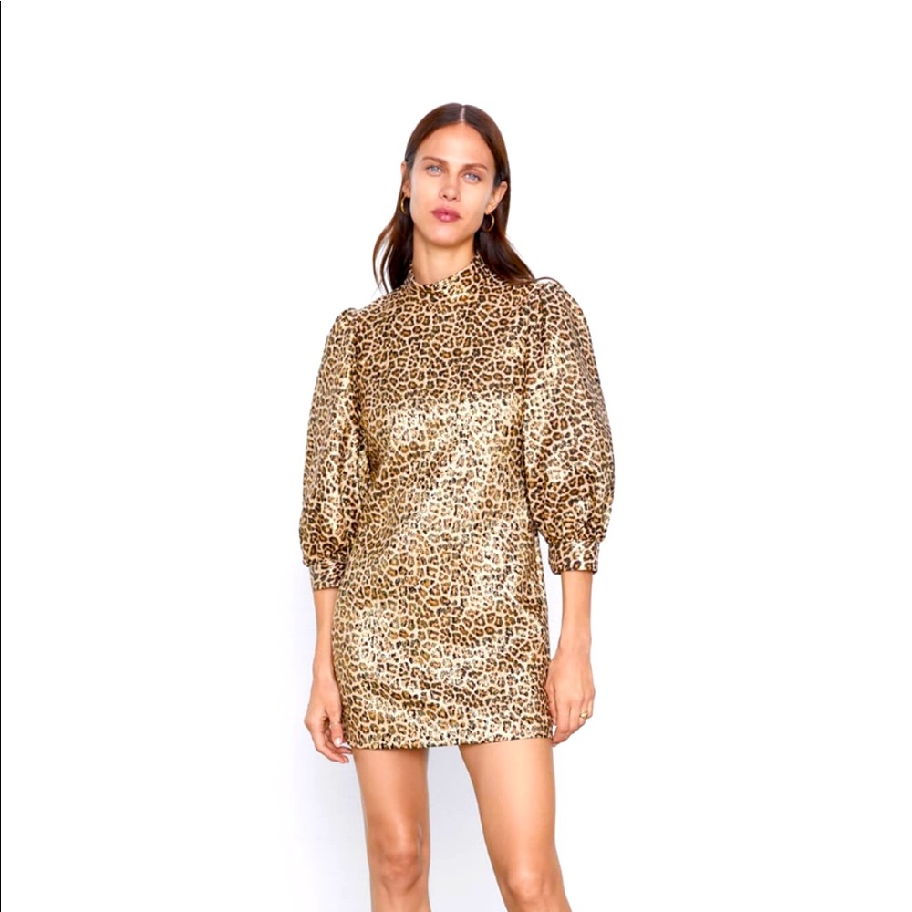Metallic thread, animal print, fun mini dress.